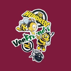 The Hundreds Adam Bomb X VEEfriends Gary Vee Limited-Edition T-Shirt (1 of 150)
